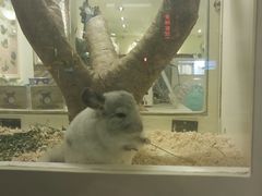 -龙猫仔乐园(惠福东路店)