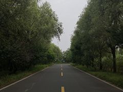 -同里国家湿地公园