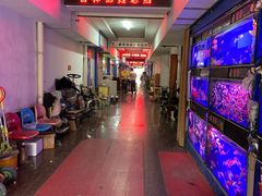 -山东柏宁水族批发广场