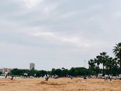 -金沙湖公园