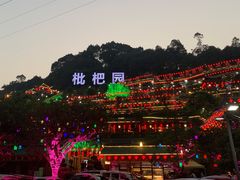 -枇杷园食为鲜火锅(南山店)