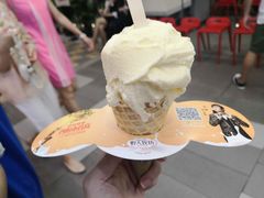 -野人先生现做冰淇淋(西安赛格店)