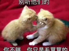 -啊臻味道米粉·五月花儿(沙嘴店)