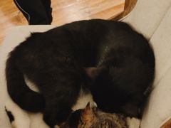 -么么咖啡(燕郊店)