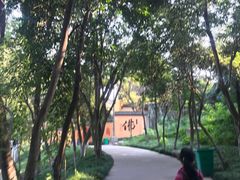 -赭山公园