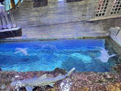 -威海华夏城景区