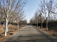 -永定河休闲森林公园