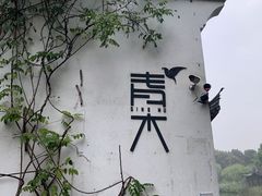 -日出青木·杭帮菜名店