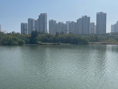 -五缘湾湿地公园
