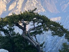 -华山风景名胜区
