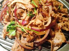 -大鸭梨烤鸭(望京店)