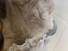 -怪兽屋·羊驼·猫咖·狗咖(俊华广场店)