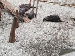 -昆明动物园