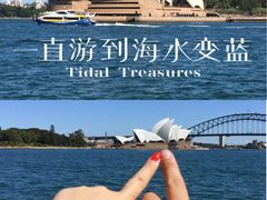 -悉尼歌剧院