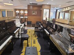 -知音艺术教育培训·钢琴培训·音乐培训(河西金鹰世界校区)