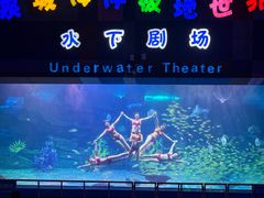 -泉城欧乐堡海洋极地世界