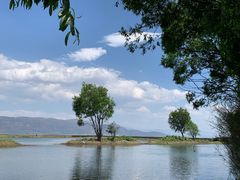 -黄兴南路步行商业街