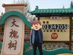 -大槐树寻根祭祖园