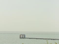 -贡湖湾湿地公园