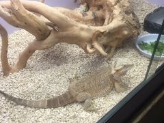 -昆明大悦城未来动物城(螺蛳湾中心店)