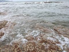 -青岛第三海水浴场