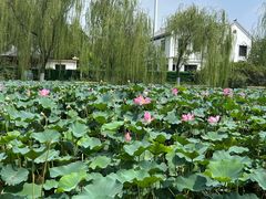 -南翠屏公园