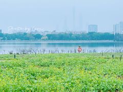 -海珠湖公园