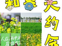 -崔岗艺术村