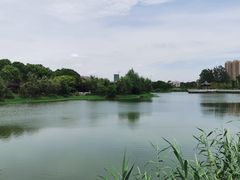 -八大山人梅湖景区