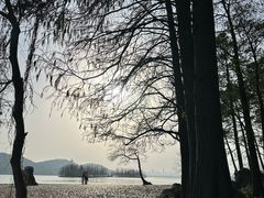 -东湖落雁景区
