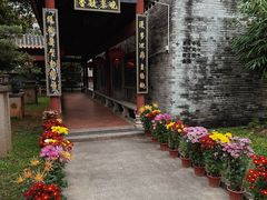 -碧江金楼