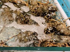 -阿伟海鲜楼·福建菜(延寿店)