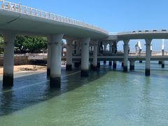 -演武大桥观景平台