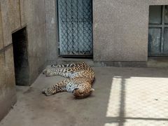 -西安秦岭野生动物园