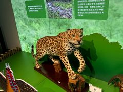 -台州博物馆