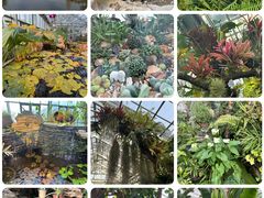 -国家植物园南园