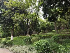 -天河儿童公园