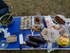 -桤木河湿地公园