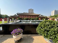 -南京钟山宾馆(江苏省会议中心)