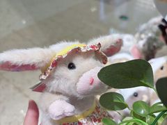 -金鹰国际购物中心(江都店)