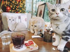 -咖法森林·咖啡  酒吧(天河店)