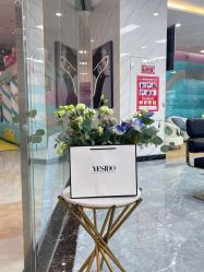 -YESIDO椰岛造型