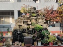 -遇见小院—虹鳟鱼•农家菜(怀柔店)