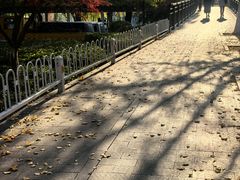 -范蠡湖公园