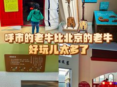 -呼和浩特市老牛儿童探索馆
