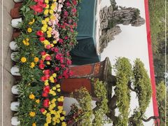 -南山植物园