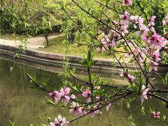 -上海市龙华烈士陵园