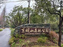 -东明山森林公园