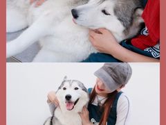 -星多哈·狗咖·拼豆·咖啡