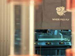 -WHEN PIGS FLY当猪飞